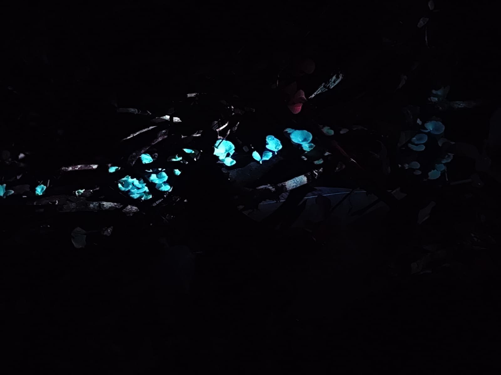 Imagem do WhatsApp de 2025-03-17 à(s) 10.22.13_d747b0cd