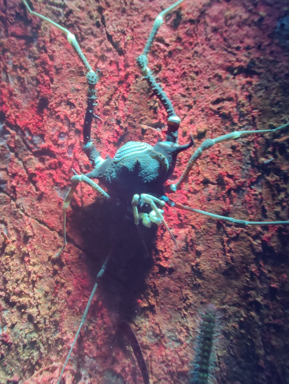 Imagem do WhatsApp de 2025-03-17 à(s) 10.22.22_064d6861