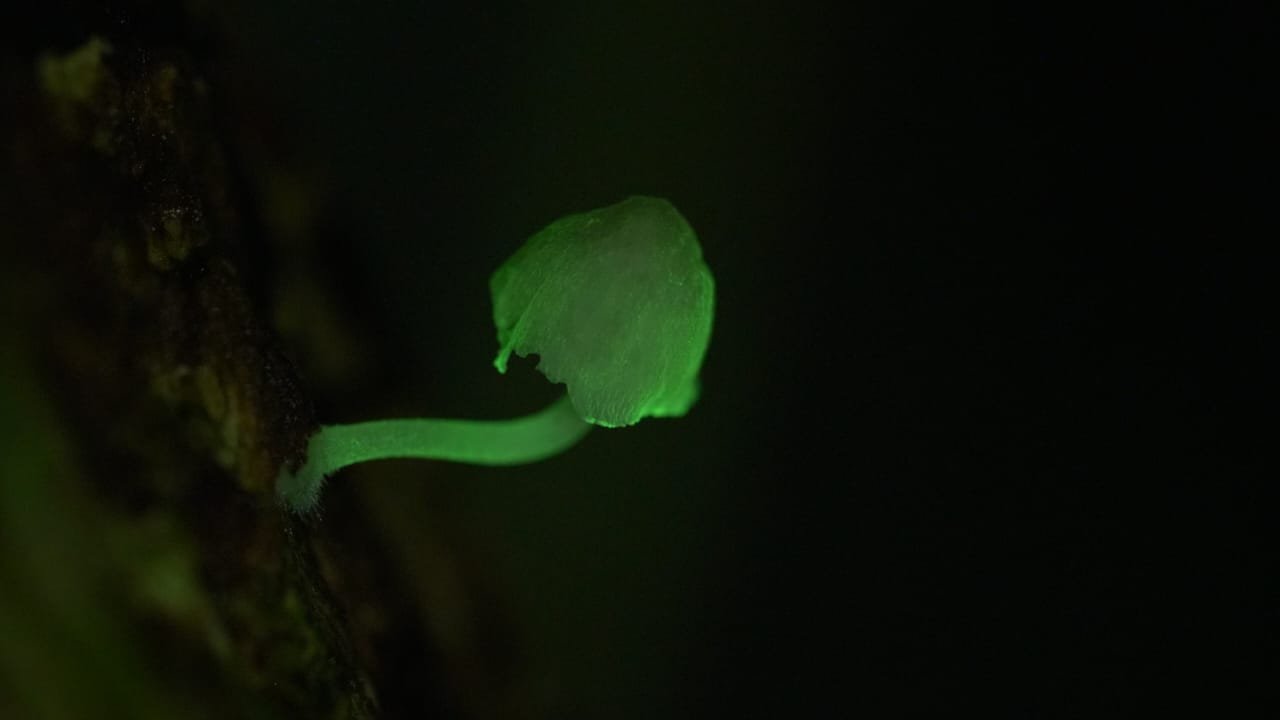 Imagem do WhatsApp de 2025-03-17 à(s) 10.22.31_448625bb