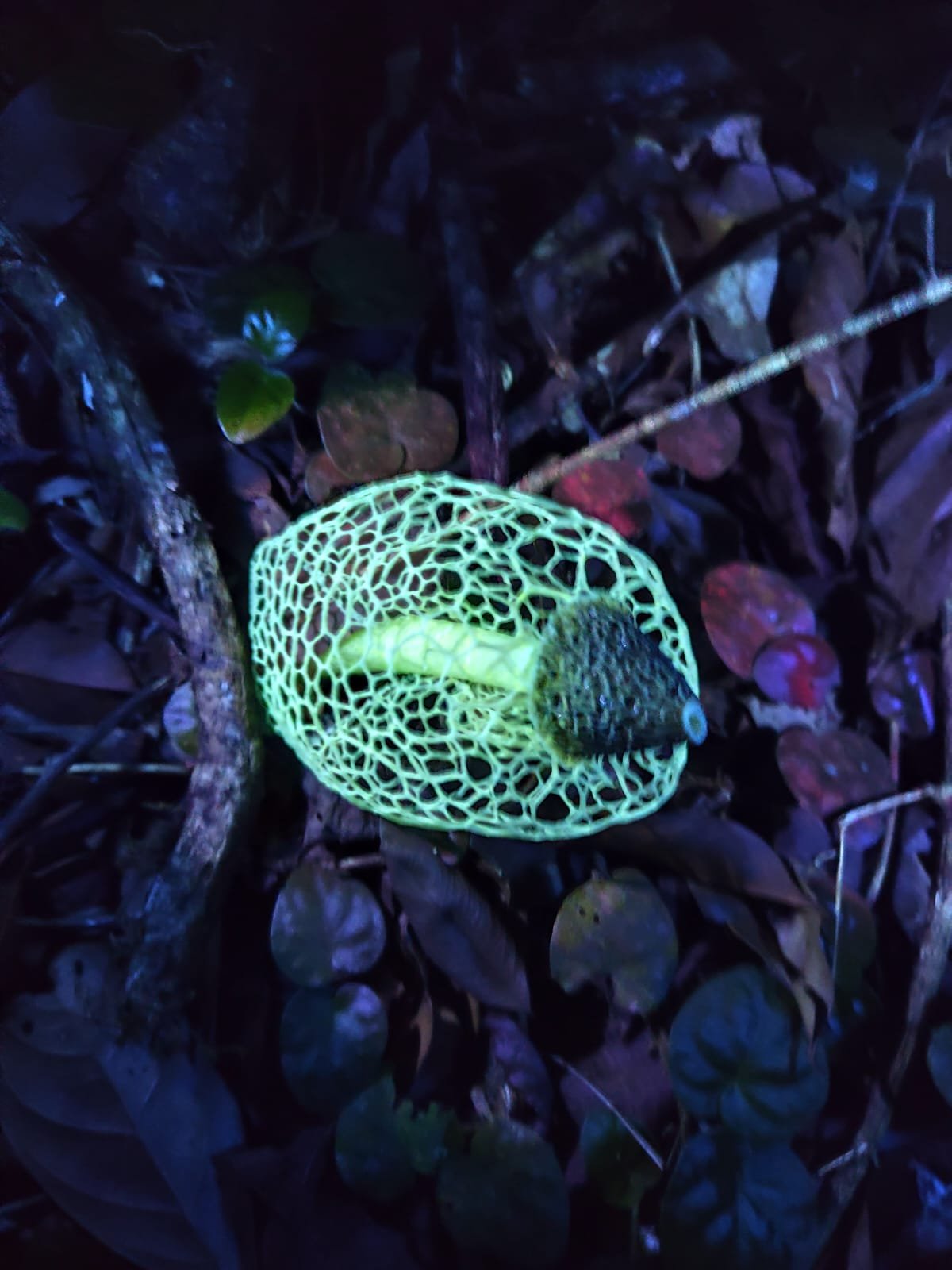 Imagem do WhatsApp de 2025-03-17 à(s) 10.22.32_b95ad7e9