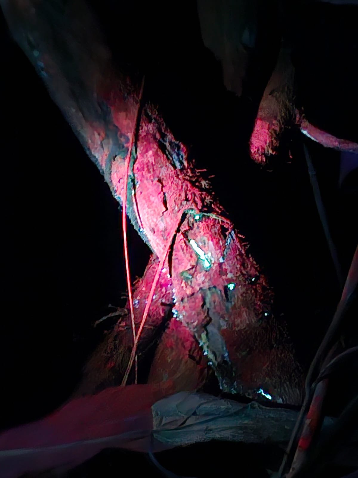 Imagem do WhatsApp de 2025-03-17 à(s) 10.24.30_c0b0192c