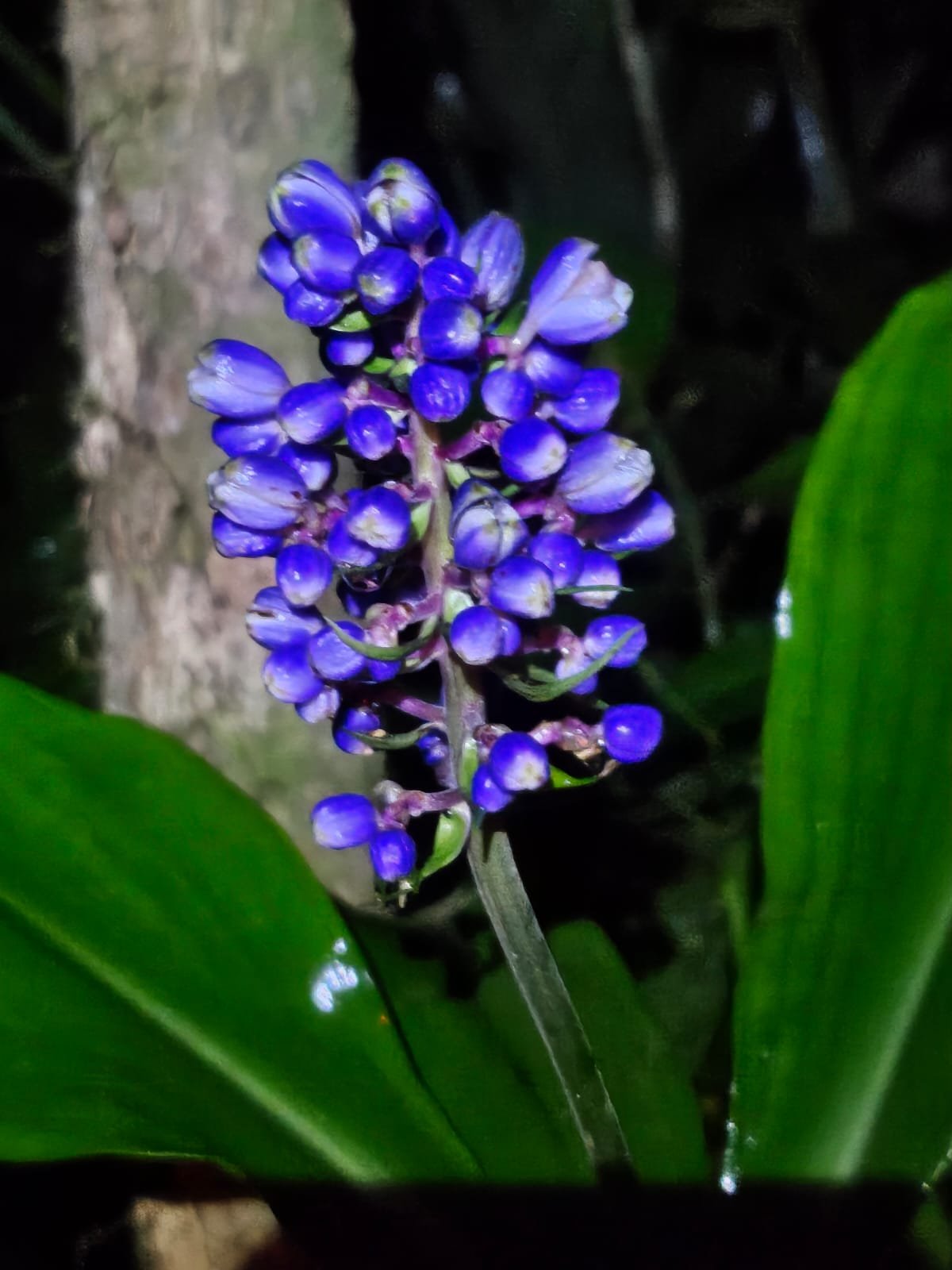 Imagem do WhatsApp de 2025-03-17 à(s) 10.24.30_ea3b5fd5