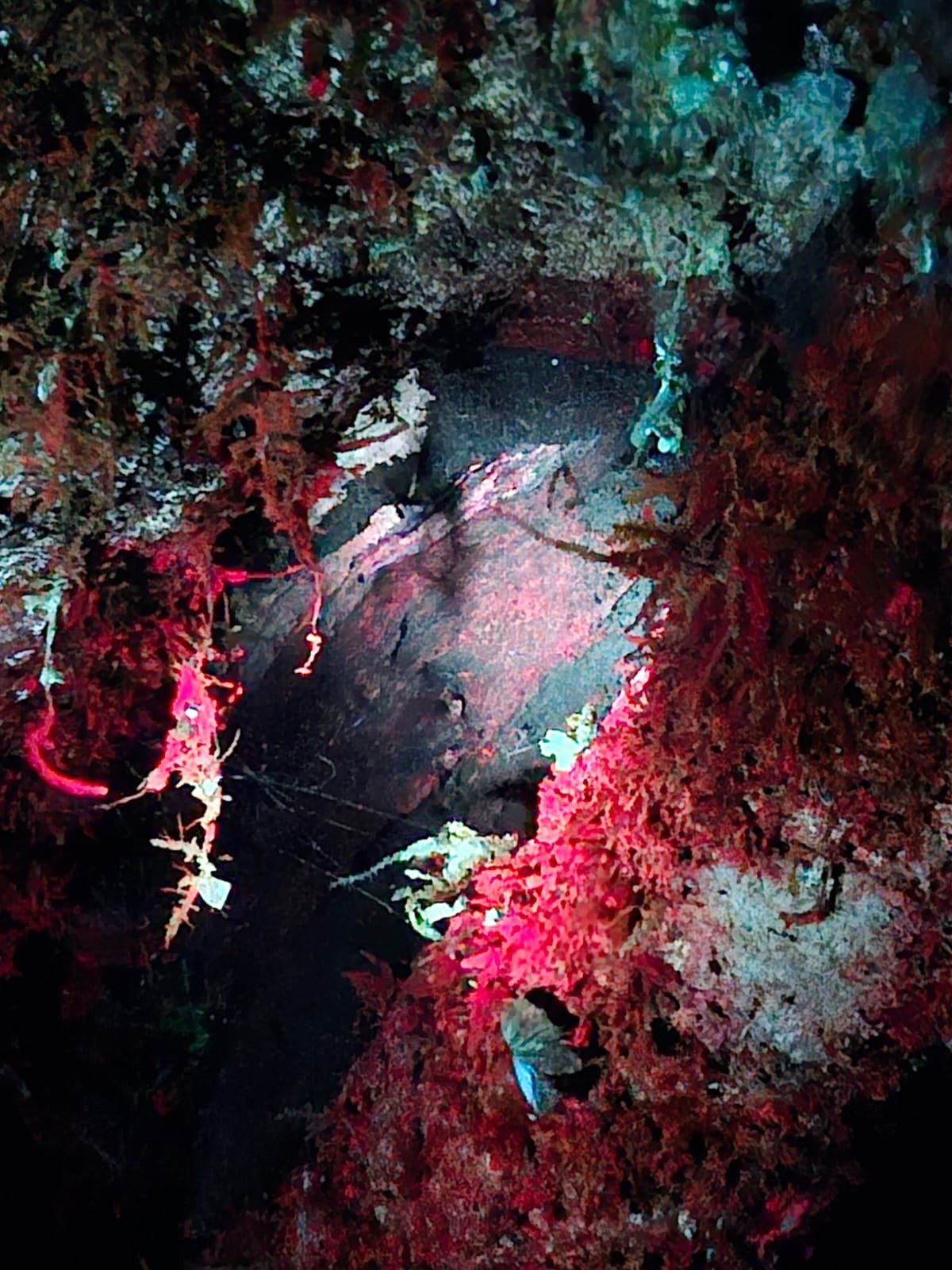 Imagem do WhatsApp de 2025-03-17 à(s) 10.24.31_3ef938a3