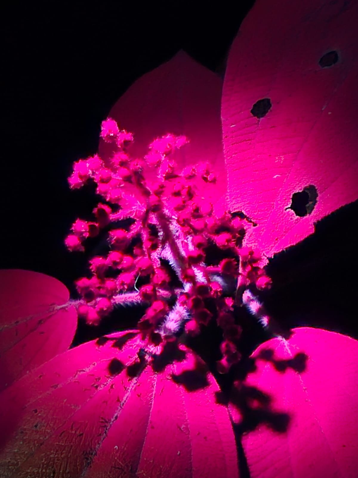 Imagem do WhatsApp de 2025-03-17 à(s) 10.24.38_7814273f