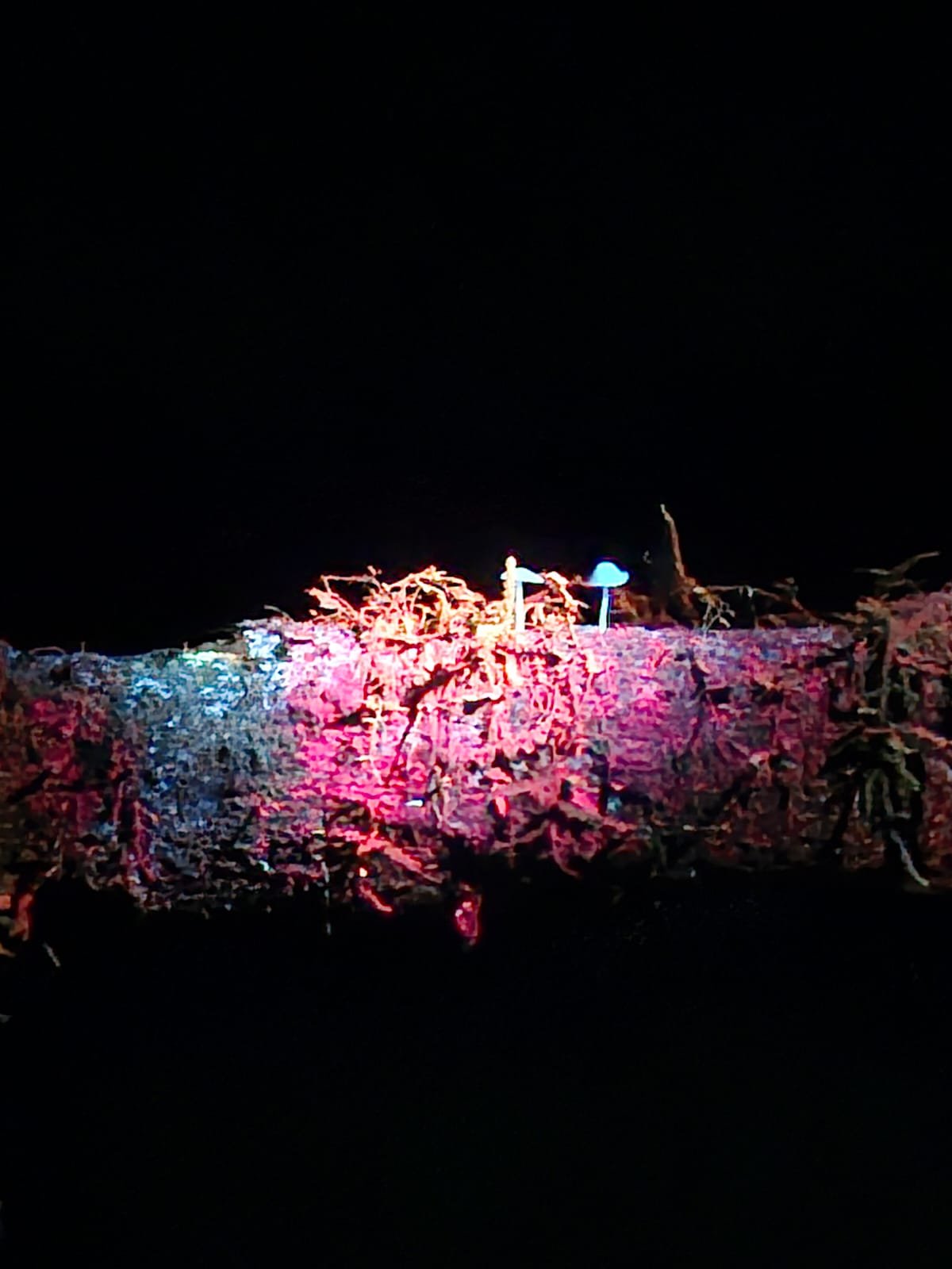 Imagem do WhatsApp de 2025-03-17 à(s) 10.24.45_7b3302cf