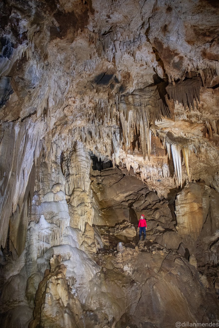 Imagem do WhatsApp de 2025-04-10 à(s) 07.07.10_6d896e53