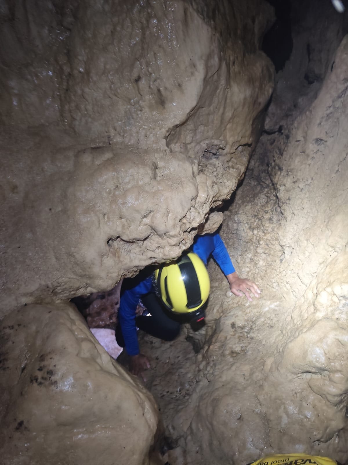 Imagem do WhatsApp de 2025-04-10 à(s) 07.07.13_f4462fdc