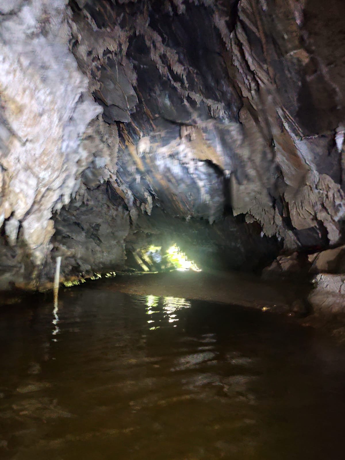 Imagem do WhatsApp de 2025-04-10 à(s) 07.07.15_574be7ac