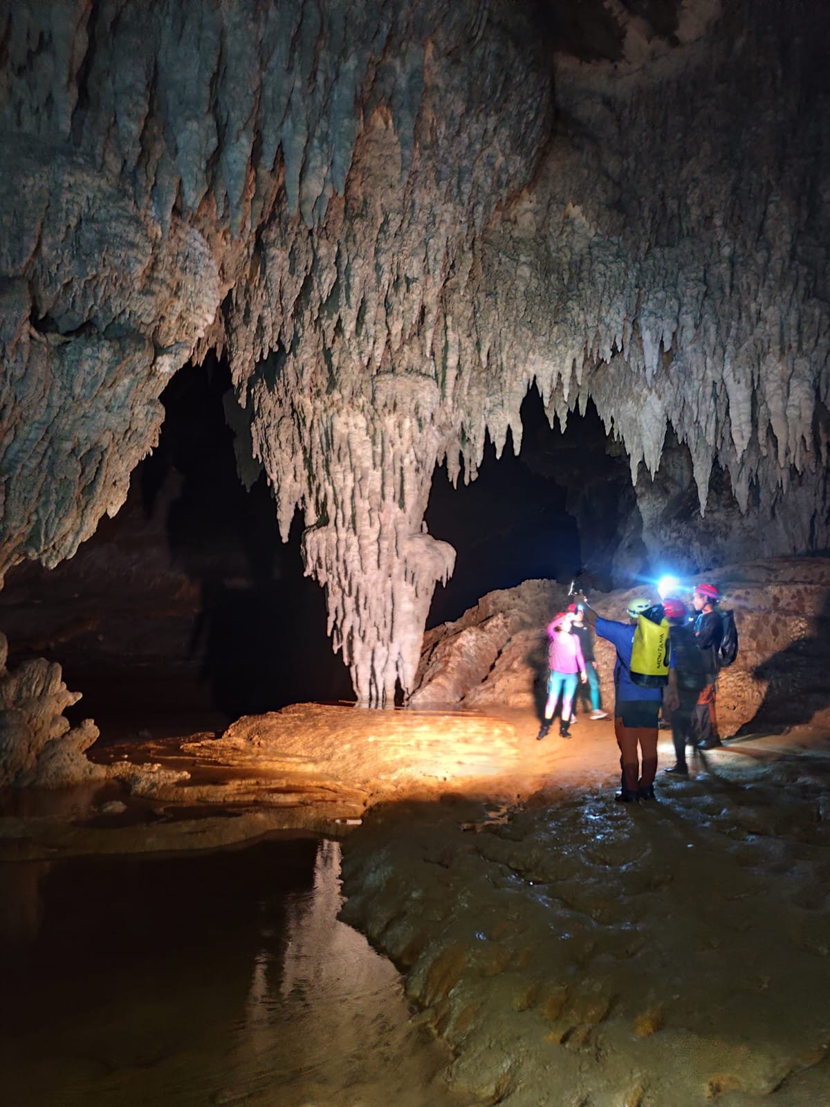 Imagem do WhatsApp de 2025-04-10 à(s) 07.07.18_cdb1e8ac