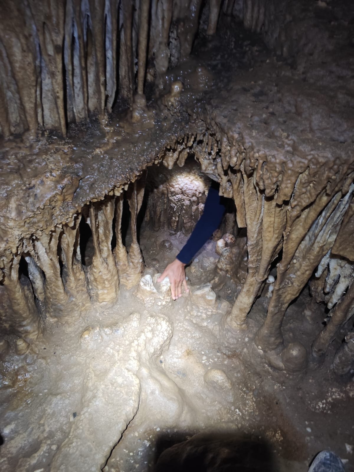 Imagem do WhatsApp de 2025-04-10 à(s) 07.07.19_fb1ce287