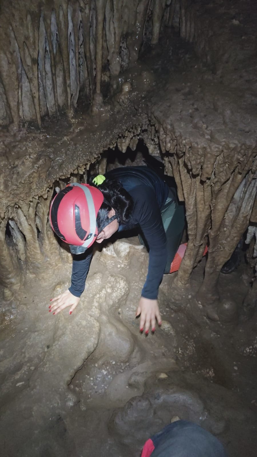 Imagem do WhatsApp de 2025-04-10 à(s) 07.07.20_da97b2ef