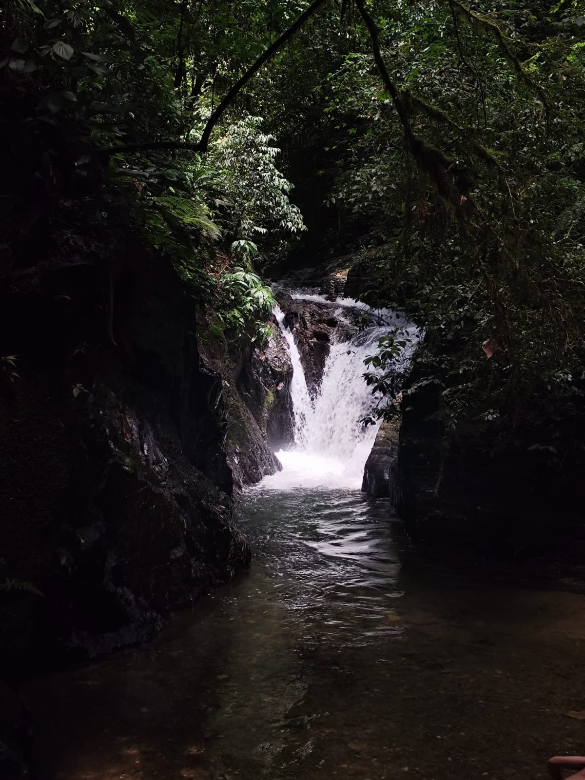 Imagem do WhatsApp de 2025-04-10 à(s) 07.07.26_8901a431